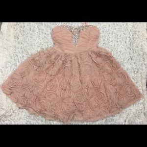 Trixxi Soft Pink Beaded Rose Party Dress